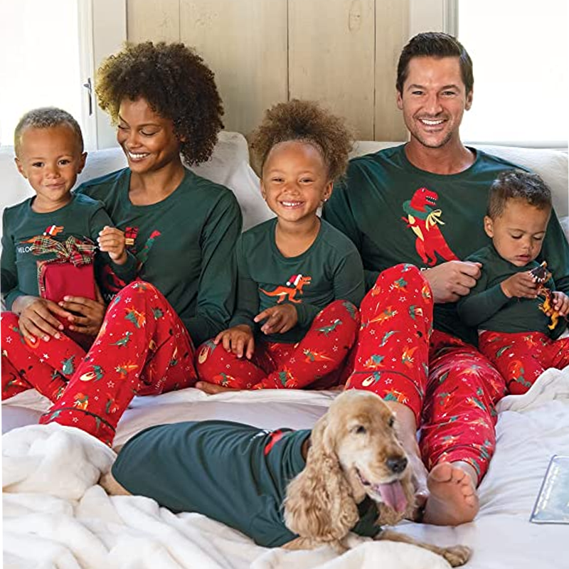 Family Christmas Dino Matching Sets